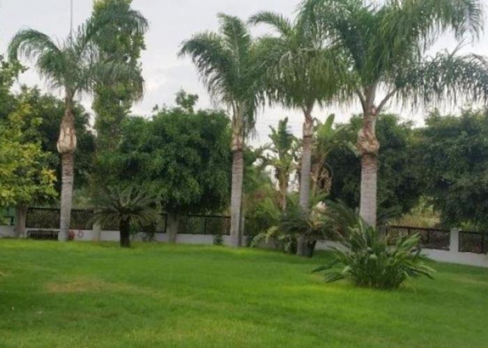 3-Bedroom House Near the Beach