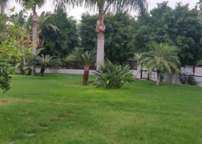 3-Bedroom House Near the Beach
