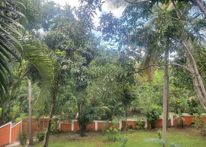 villa mariposa