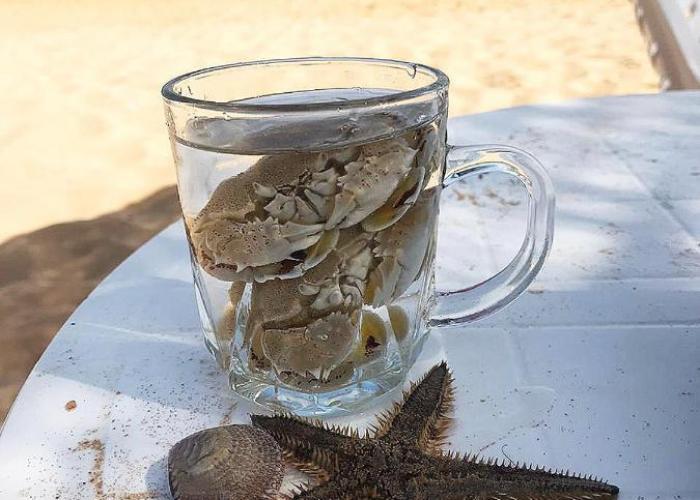 4BRs Beachside with Penthouse and stunning Seaview l EINBAY