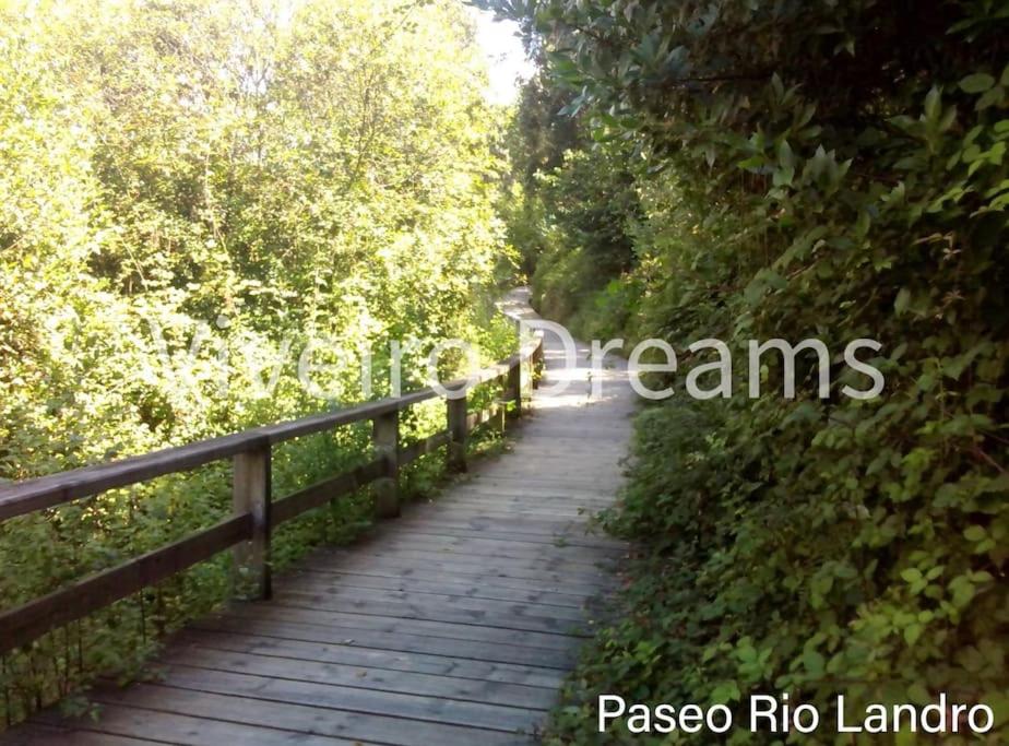фото Viveiro Dreams