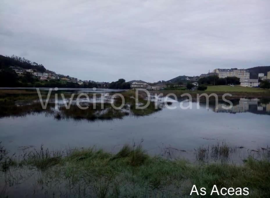 фото Viveiro Dreams