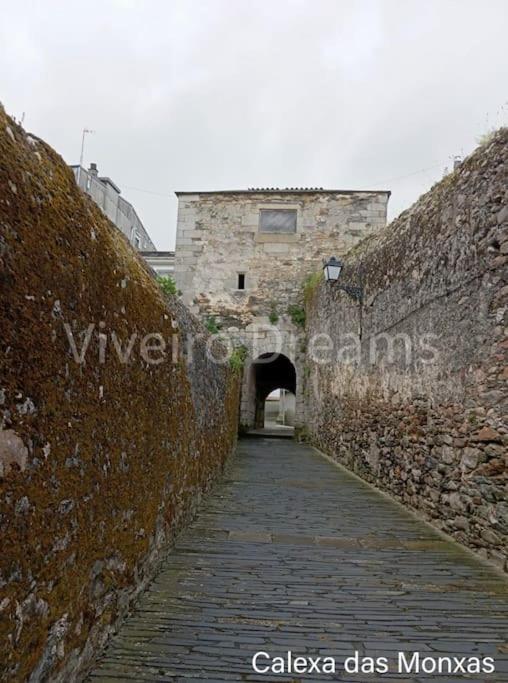 фото Viveiro Dreams