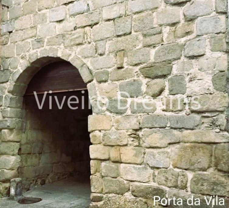 фото Viveiro Dreams