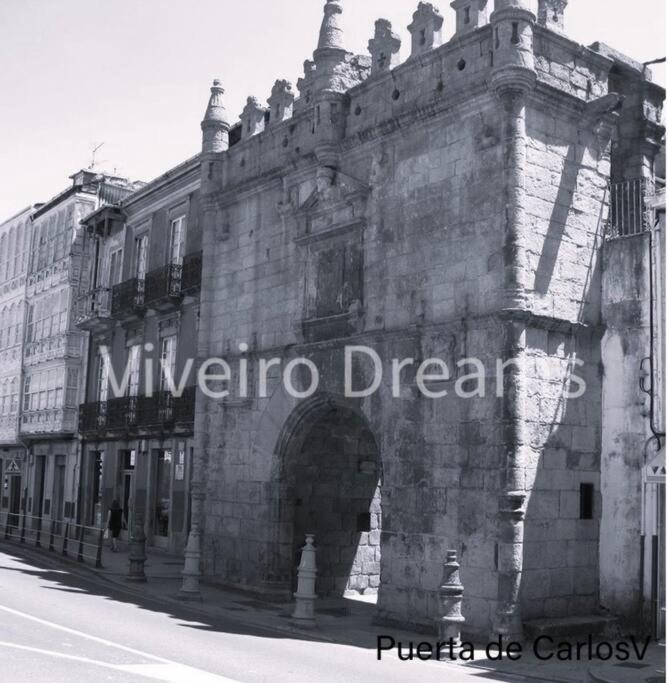 фото Viveiro Dreams
