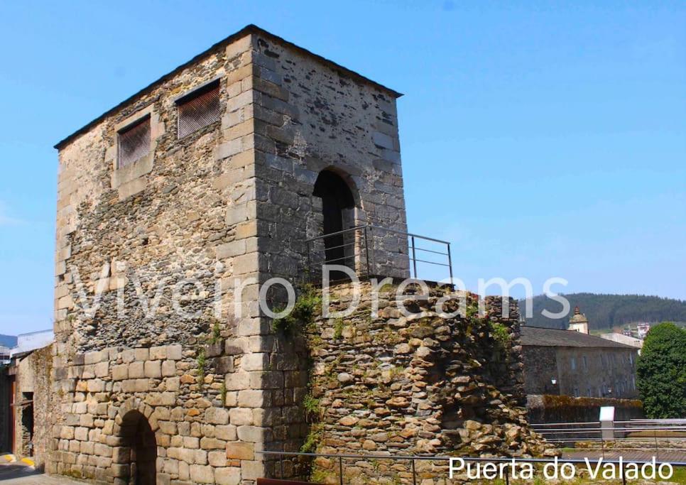 фото Viveiro Dreams