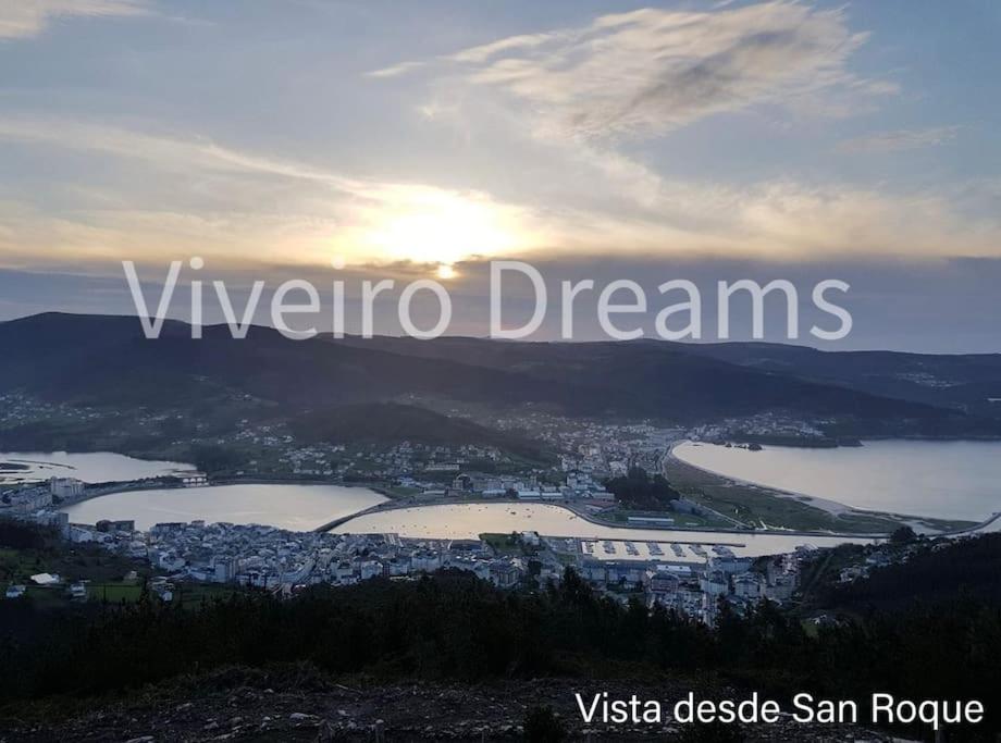фото Viveiro Dreams