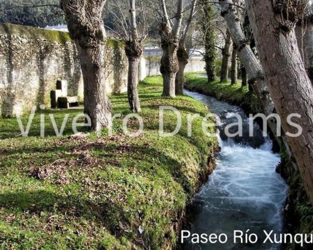 фото Viveiro Dreams