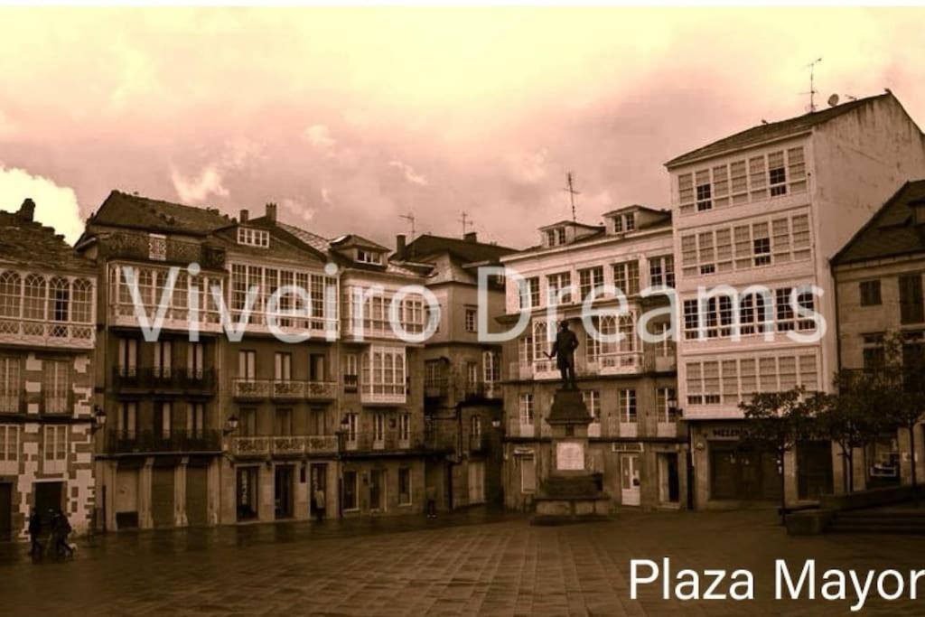 фото Viveiro Dreams