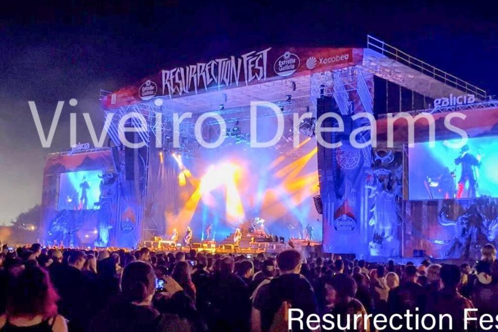 фото Viveiro Dreams