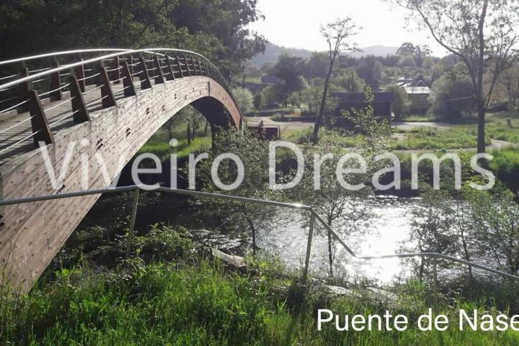 фото Viveiro Dreams