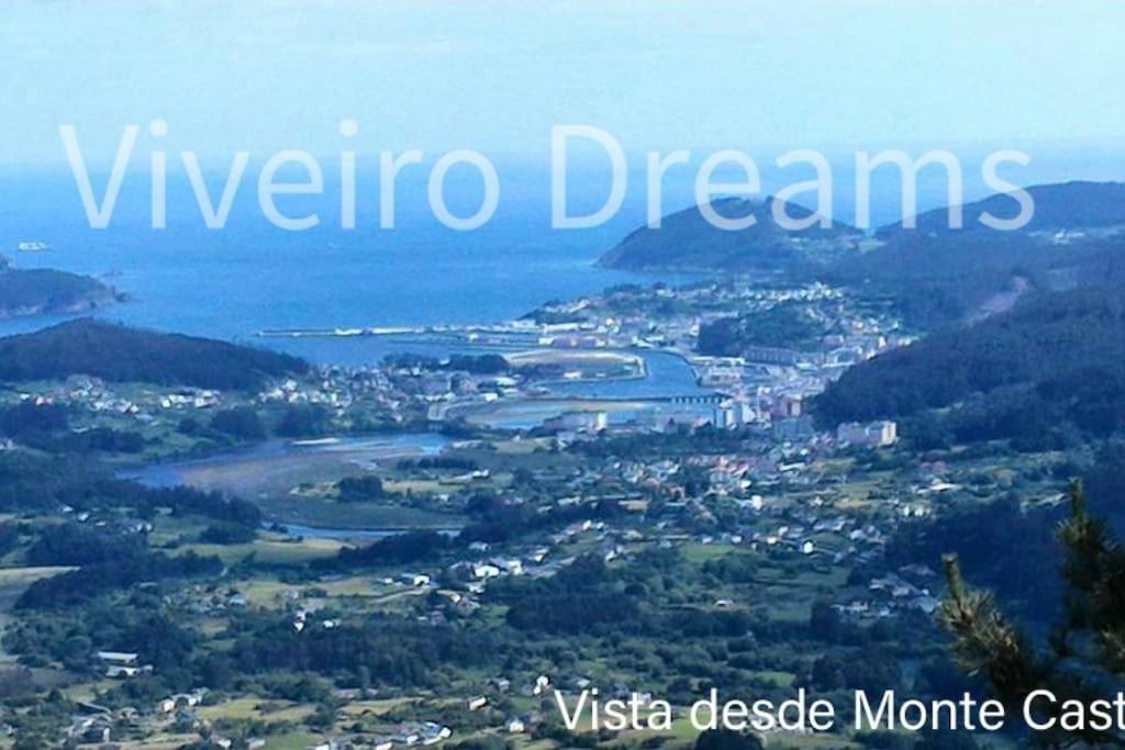фото Viveiro Dreams