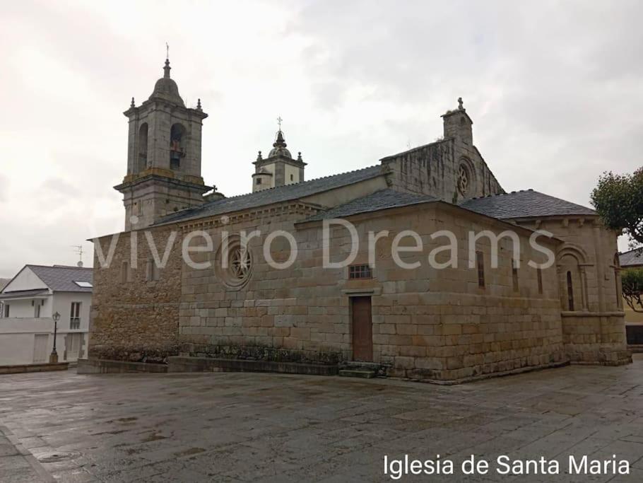 фото Viveiro Dreams