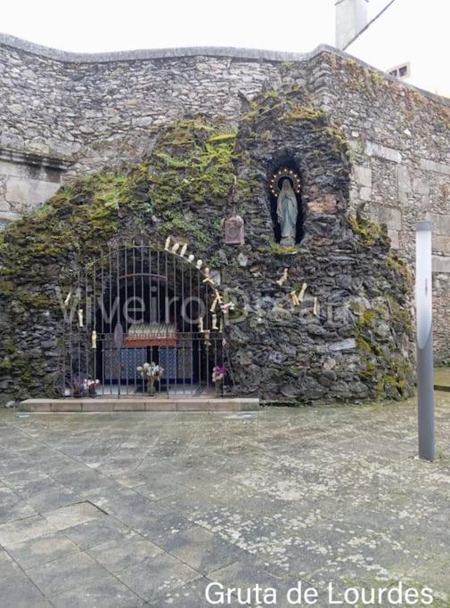 фото Viveiro Dreams