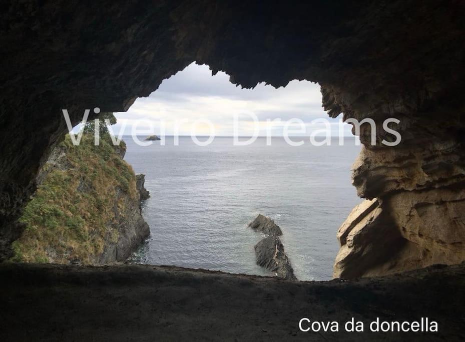фото Viveiro Dreams