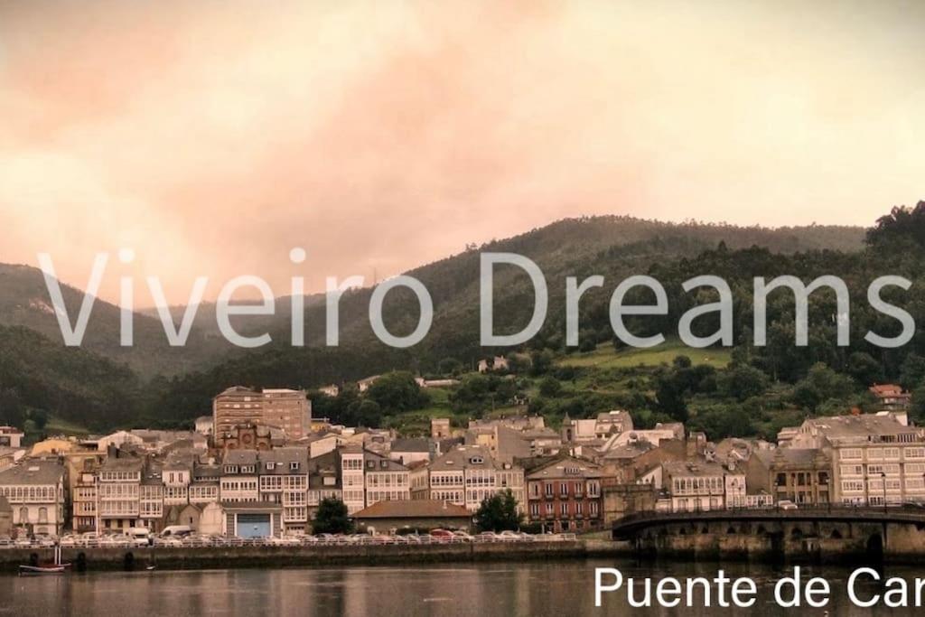 фото Viveiro Dreams