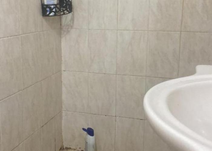 אמאס דירות