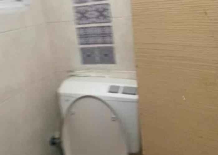 אמאס דירות