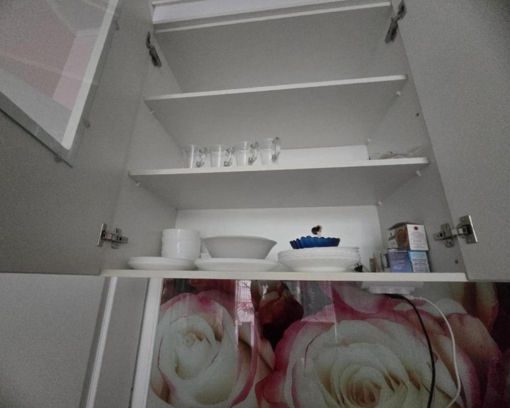фото Roses