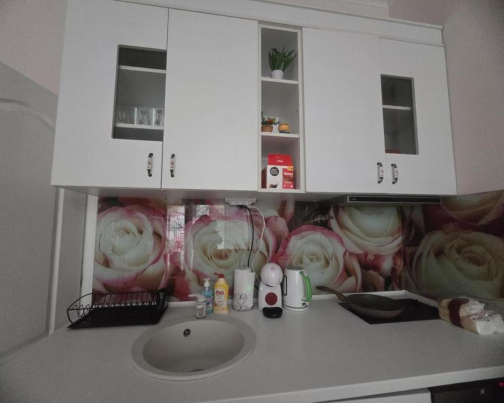 фото Roses