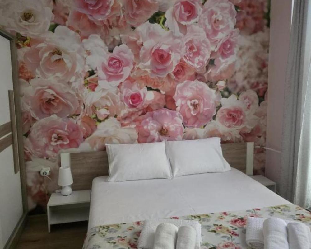 фото Roses