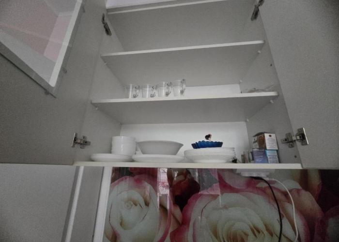 Apartment Roses