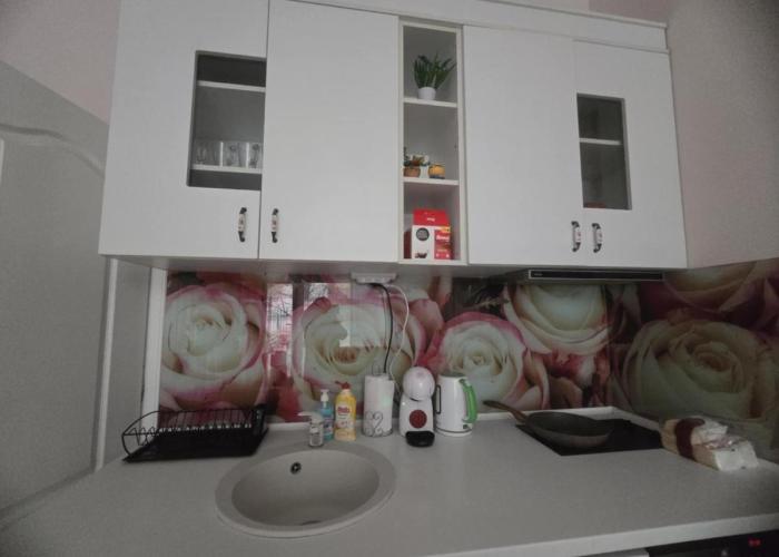 Apartment Roses