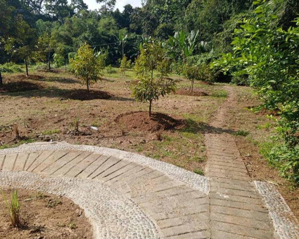 фото Kubu D' Teba