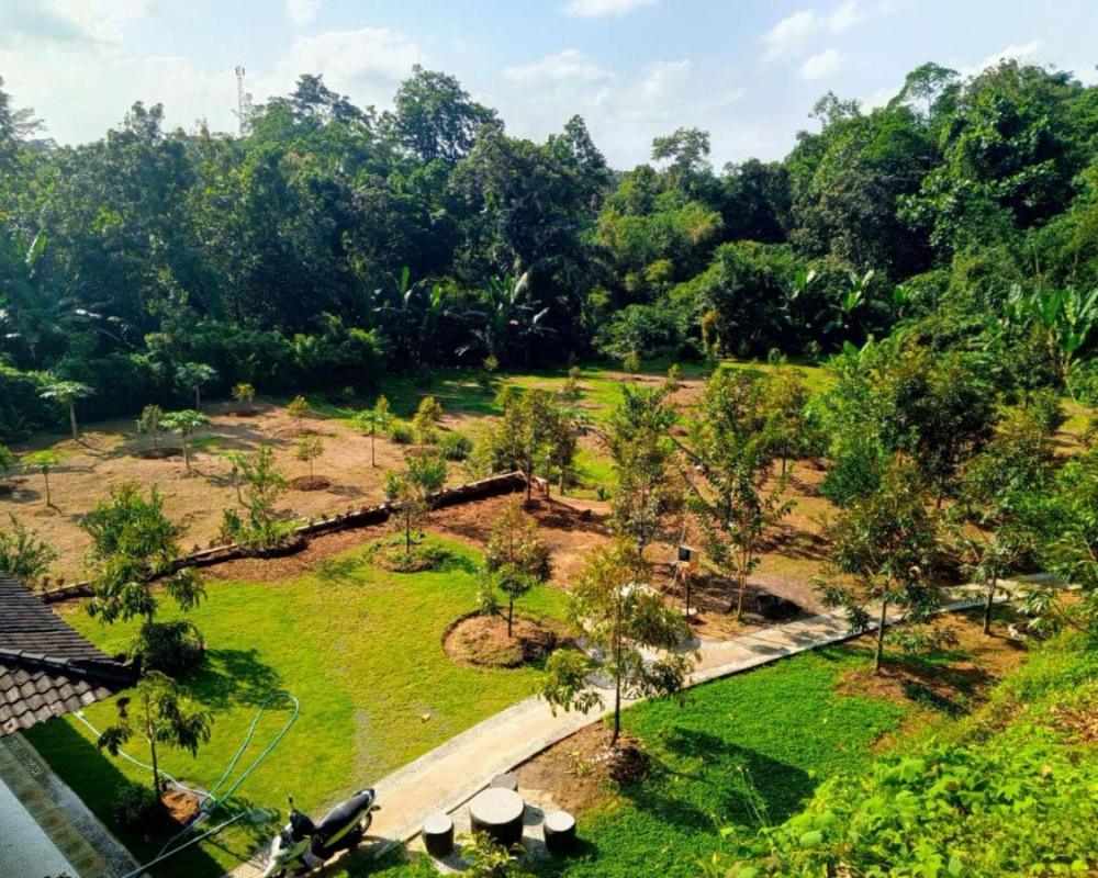 фото Kubu D' Teba