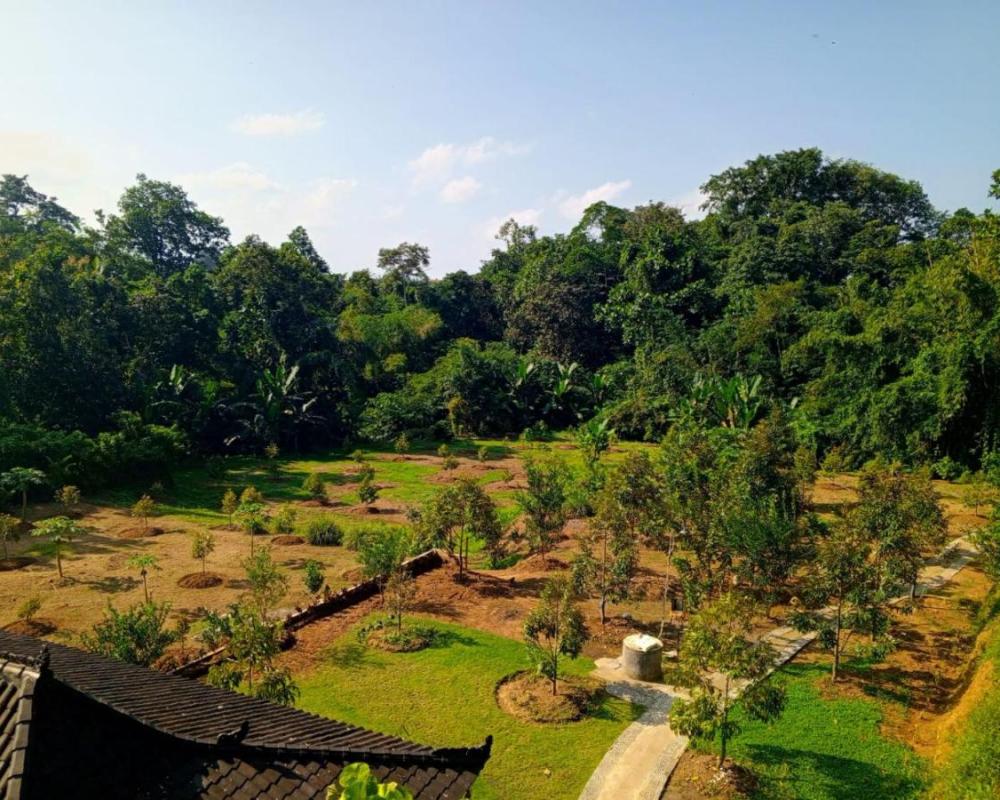 фото Kubu D' Teba