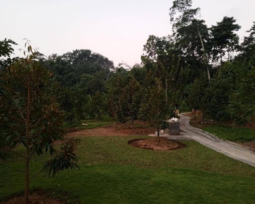 фото Kubu D' Teba