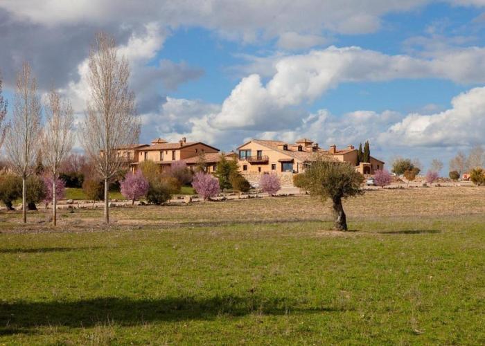Las Viñas Pinilla