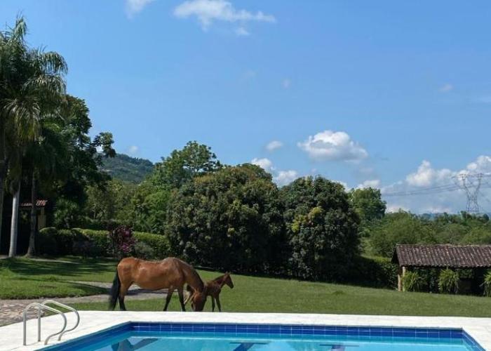 Hacienda La Tranquera