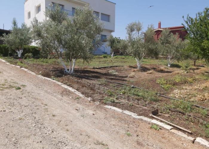 Ferme Khadija