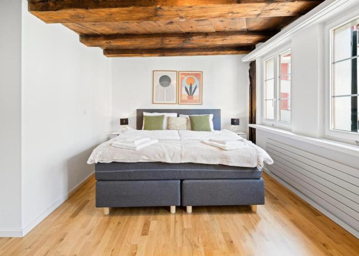 ARISER - Zug Old Town Suites