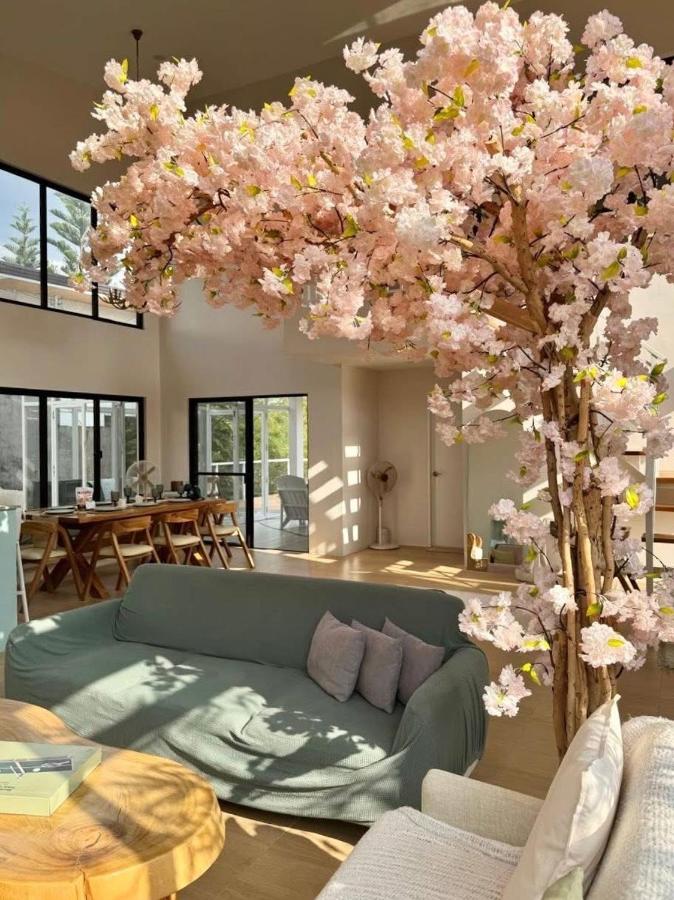 фото Experience Elements CherryBlossoms, Pool,SunRoom
