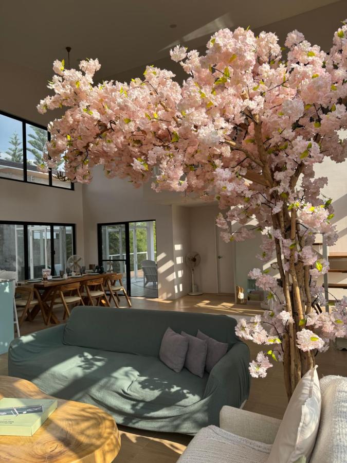 фото Experience Elements CherryBlossoms, Pool,SunRoom