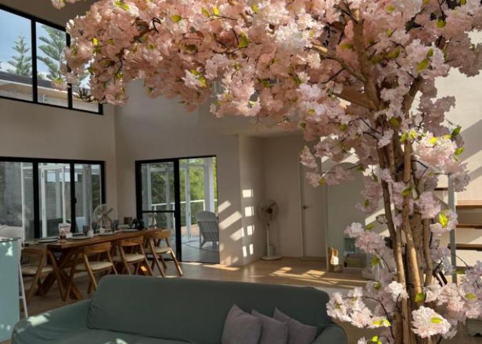 Experience Elements CherryBlossoms, Pool,SunRoom