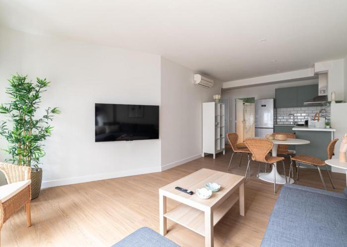 Sol Color Suites
