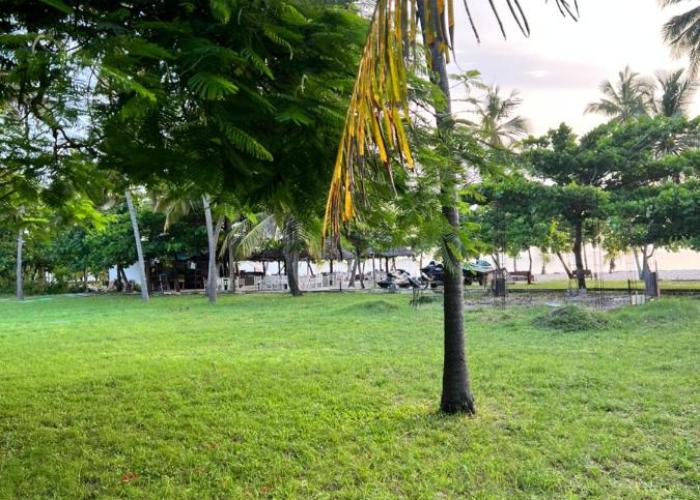 Golden Sun and Sand Studios