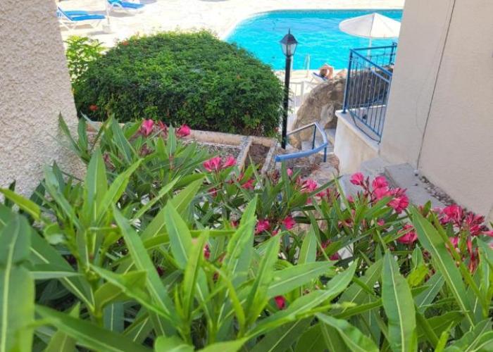 Pasithea SeaView Apartment