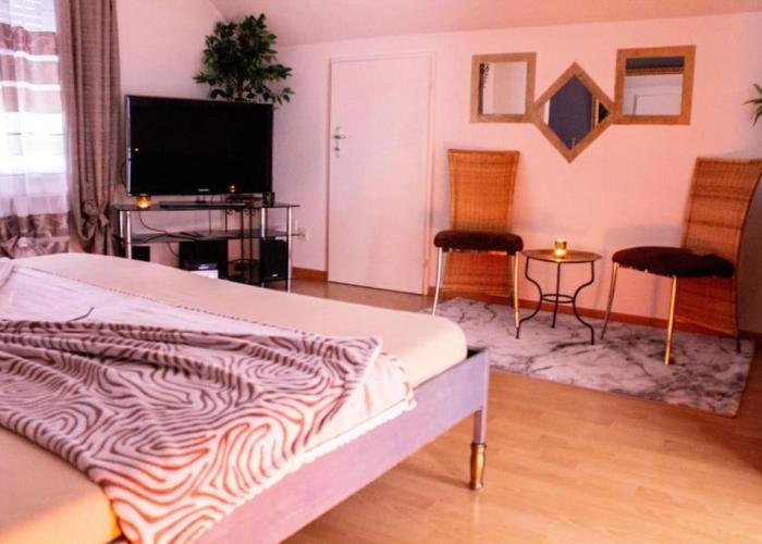 Wunderschöne Studio-Wohnung in Winterthur