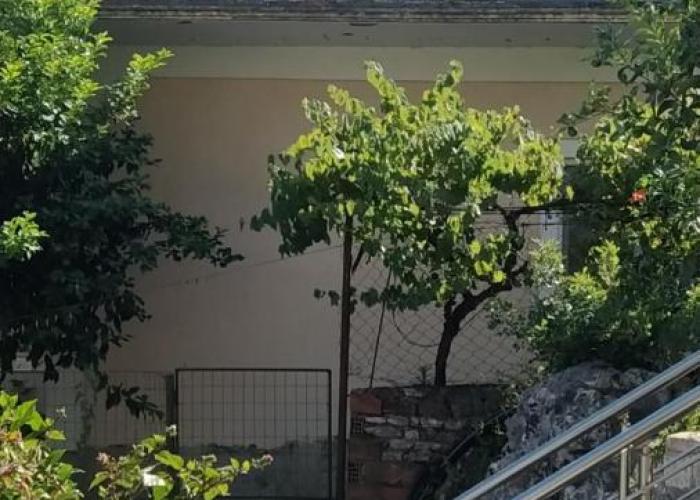 Toma's Guest House