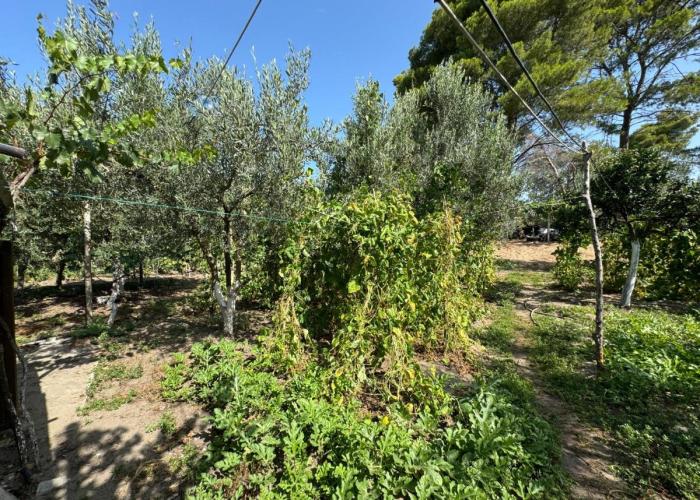 Vlora Three Houses