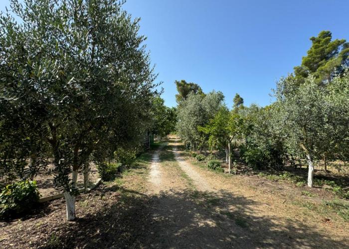 Vlora Three Houses