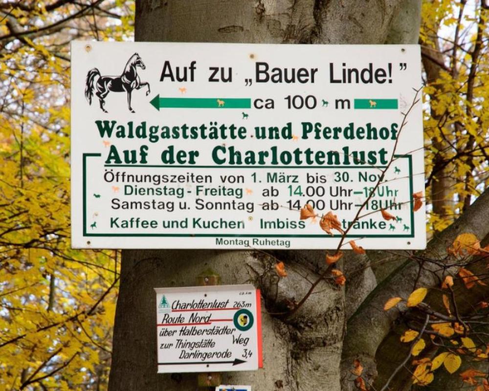 фото Bauer Linde's Ferienwohnung