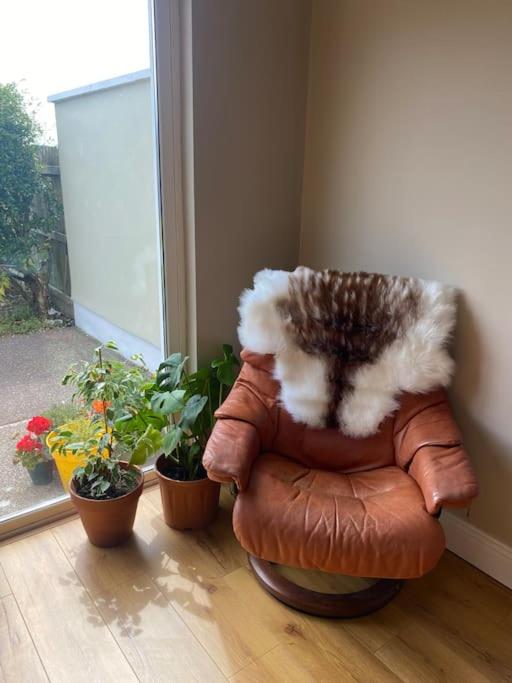 Macroom Spacious cosy 3 bedroom home