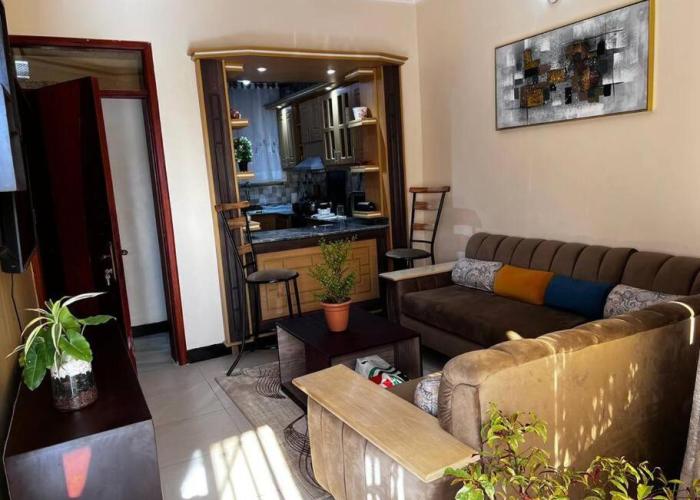 Trinity Furnished Apartment-Modern Apartment nestled in a quiet Buwaate