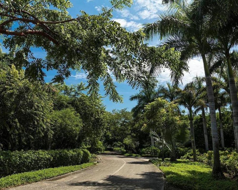 фото Hidden House in Punta Mita!