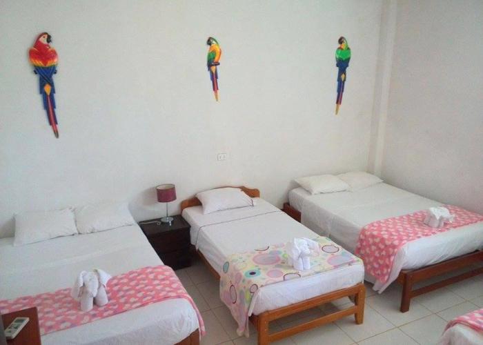 Ayahuasca Hostel